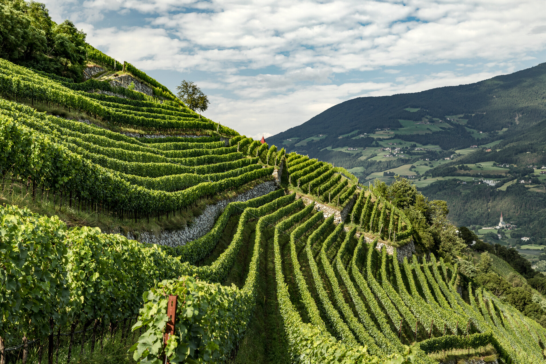 Alto Adige Masterclass, 10. november i København K