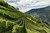 Alto Adige Masterclass, 10. november i København K