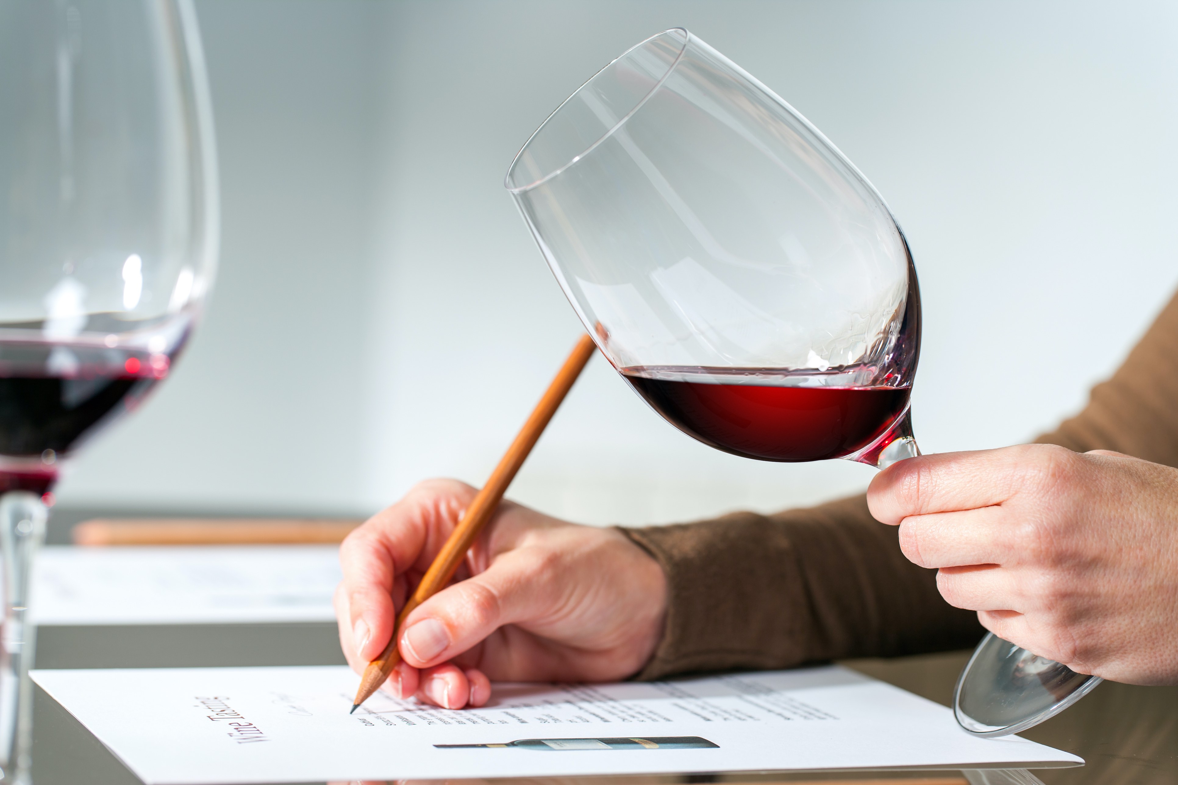 Case story: German Wine Seminars for Hospitality Students